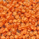 Red Cat's Eye 5/8"